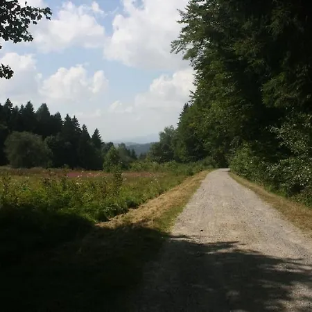 Ferienhaus Toso Freyung Esterno foto